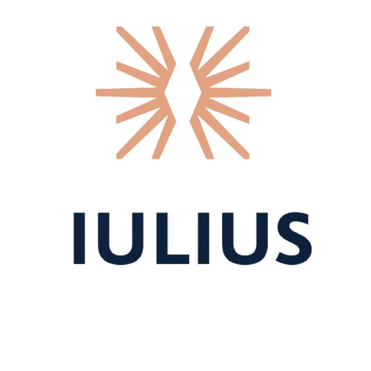 Iulius partener NGT