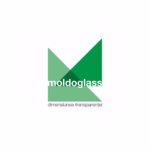 Moldoglass partener NGT